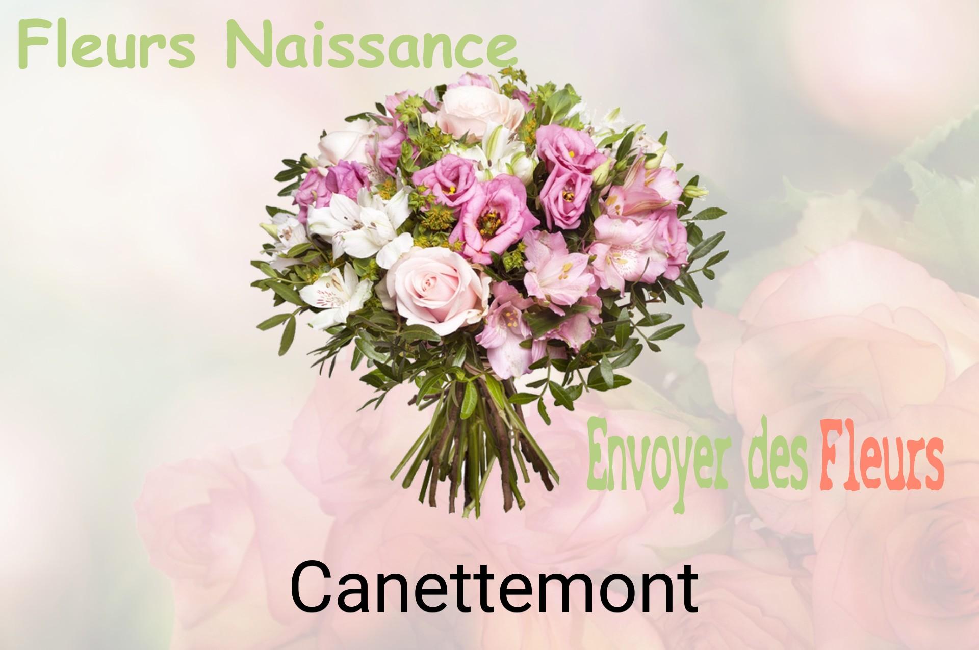 Bouquet de fleurs de naissance livré à Canettemont