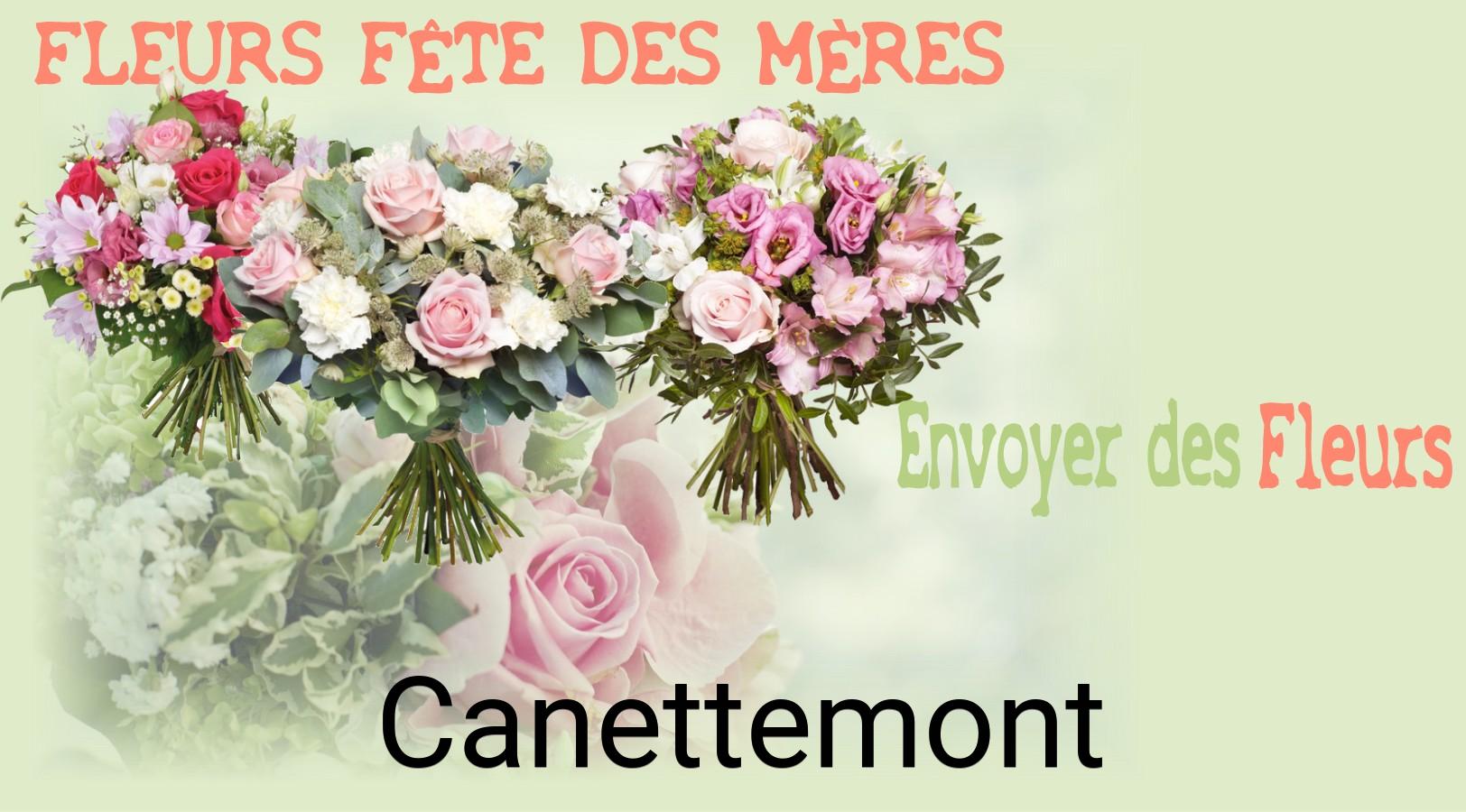 Bouquet de Fête des Mères livré à Canettemont
